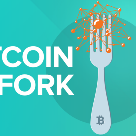 Nuovo anno, nuovo fork: è in arrivo Bitcoin Private
