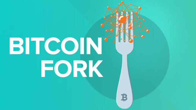bitcoin_fork