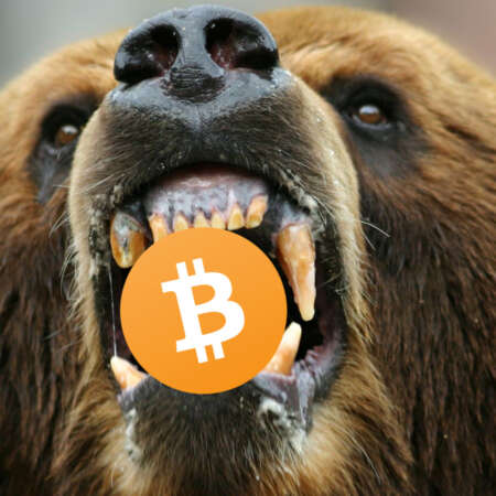 5 consigli per sopravvivere in un mercato Bear – #Criptovalute #Bitcoin