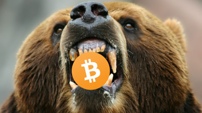 bitcoin-bear-market