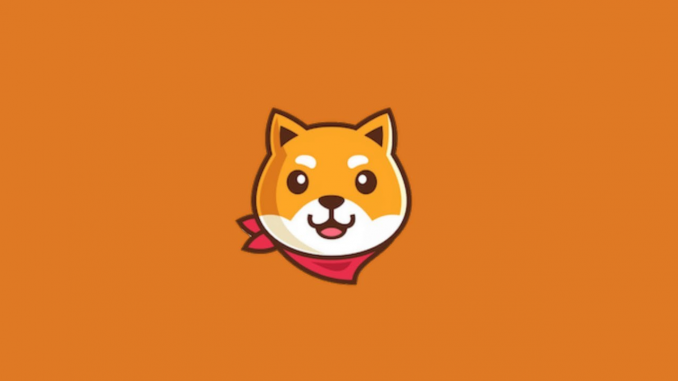 akita-inu