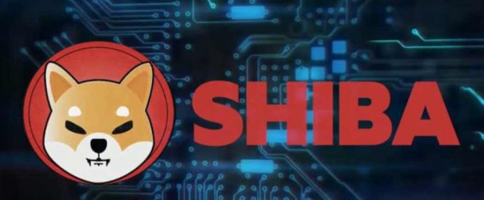 Shiba Inu Shiba Inu