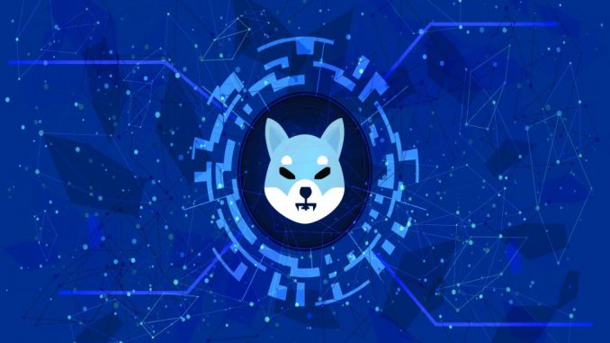 Shiba-Inu-1019x573-1
