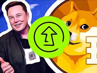 Critiche a Elon Musk dal fondatore di Dogecoin per la sua "acquisizione ostile" di Twitter