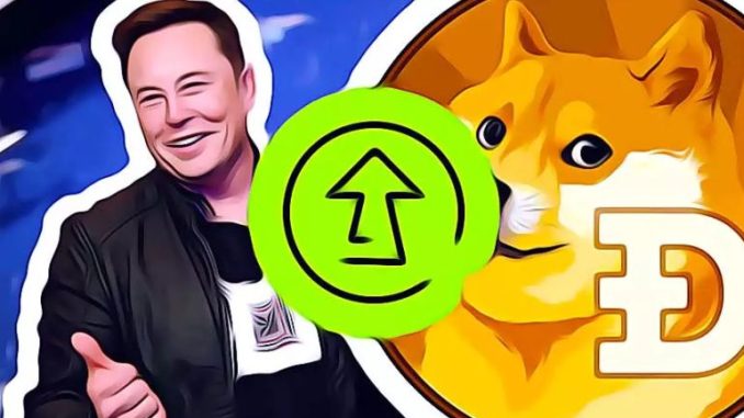 Dogecoin Musk