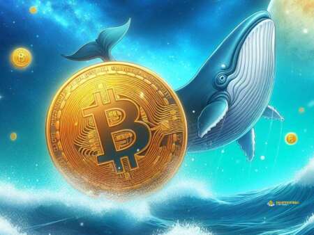 Le whale in azione su Bitcoin: accumulati BTC per 7 miliardi di dollari in una settimana