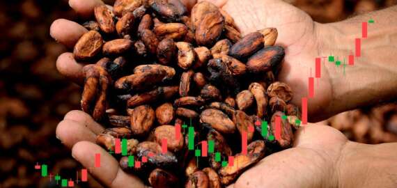 Prezzo cacao ai massimi storici: cosa succede e come puoi investire subito