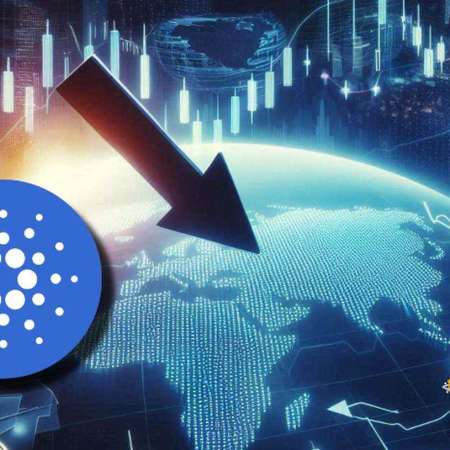 Cardano: picco di attività on-chain a luglio, ma anche il prezzo di ADA crolla