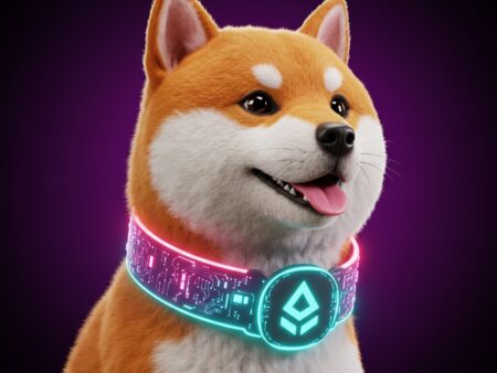 Shiba Inu in Caduta Libera: L’RSI Svela Opportunità Nascoste nel Mercato Crypto