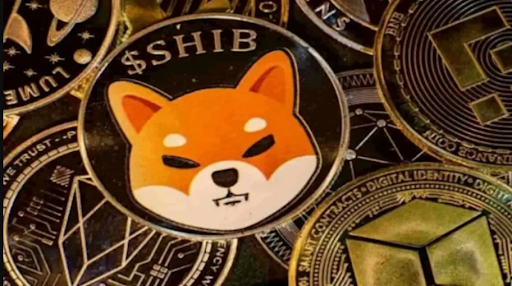 shib, shiba inu, meme coin, memecoin, cripto, crypto, criptovalute